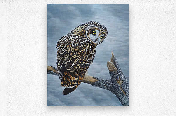 2334260 :: Brushed Metal Print