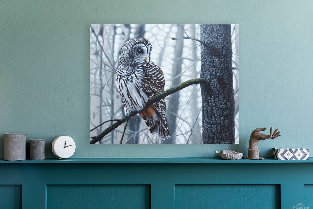 2334261 :: Giclée Stretched Canvas Print