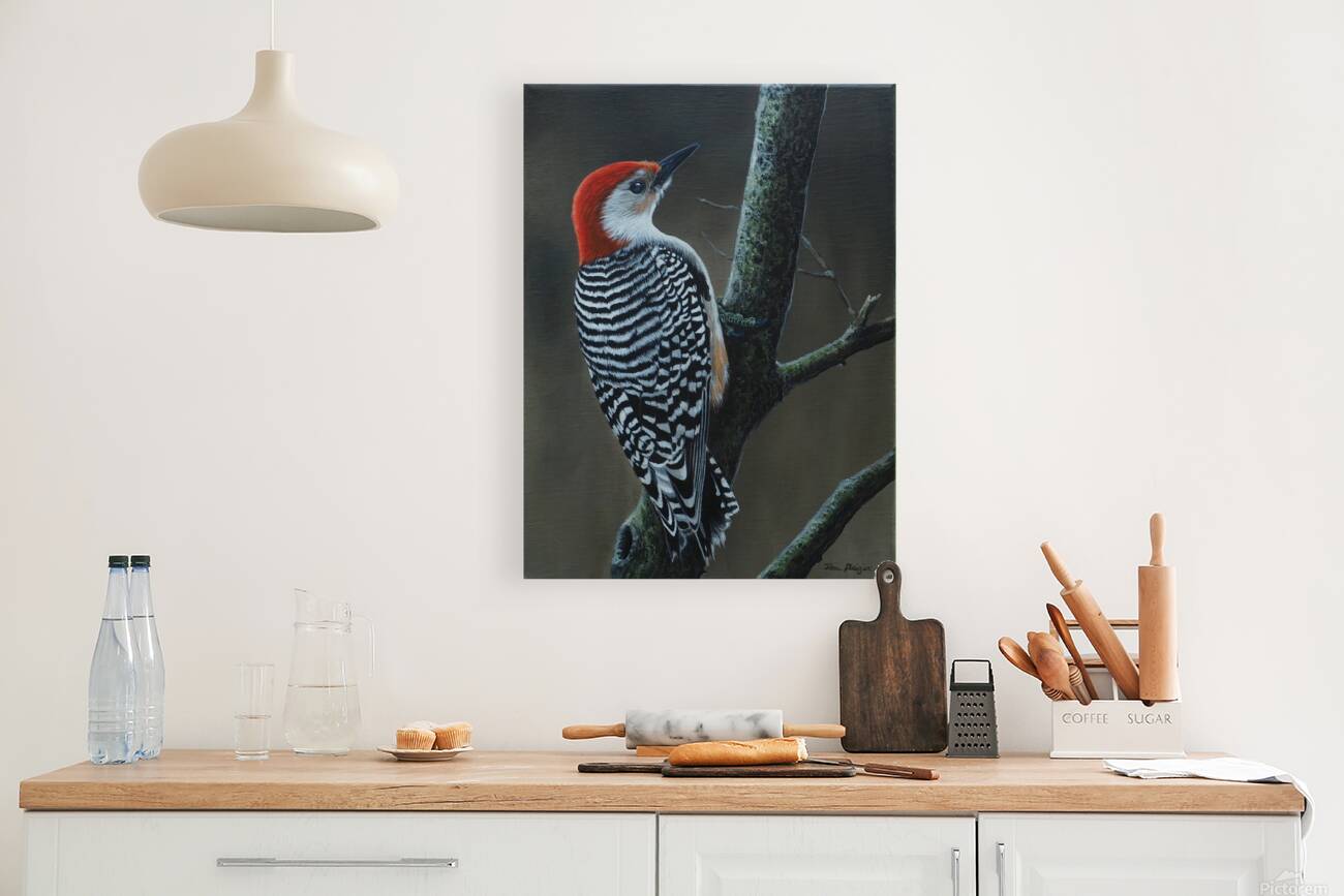 2455486 :: Giclée Stretched Canvas Print