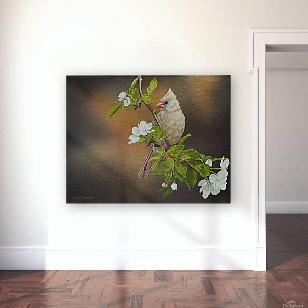 2455499 :: Giclée Stretched Canvas Print