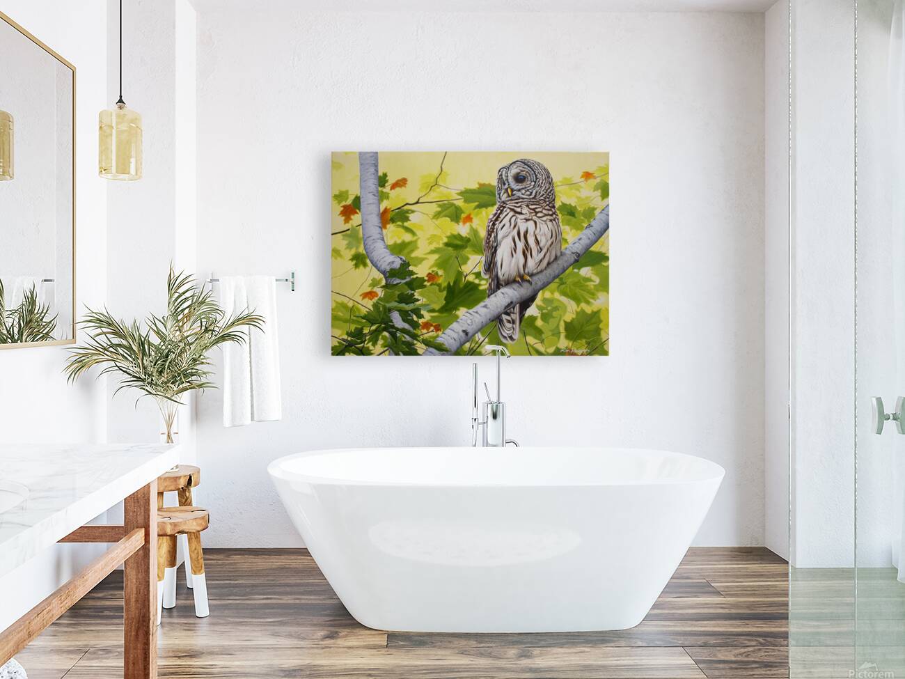2455505 :: Giclée Stretched Canvas Print