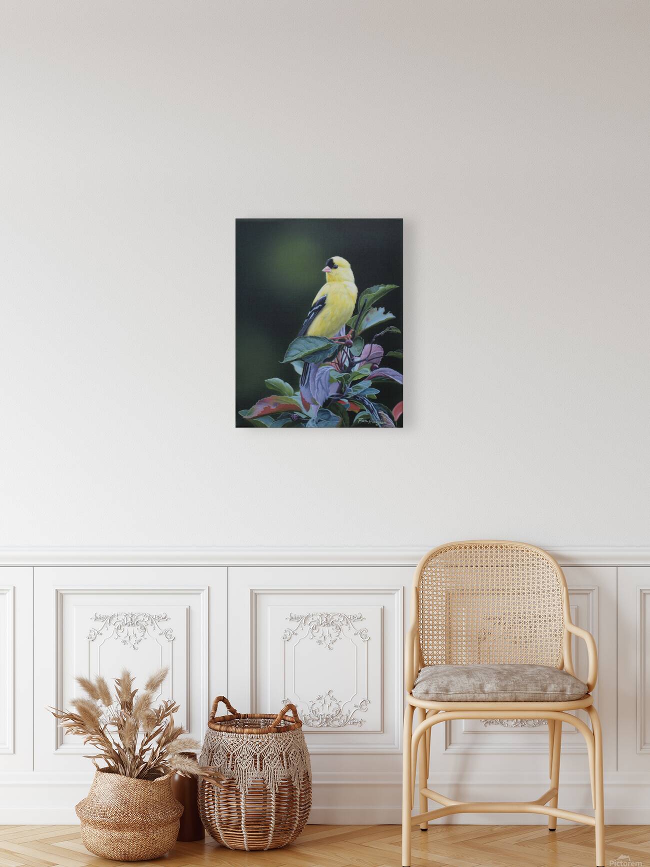 2455514 :: Giclée Stretched Canvas Print